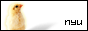 �m�x�t